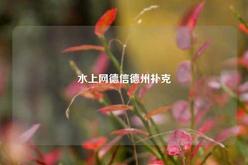 水上网德信德州扑克
