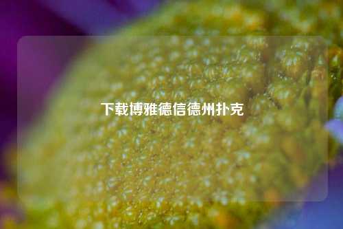 下载博雅德信德州扑克