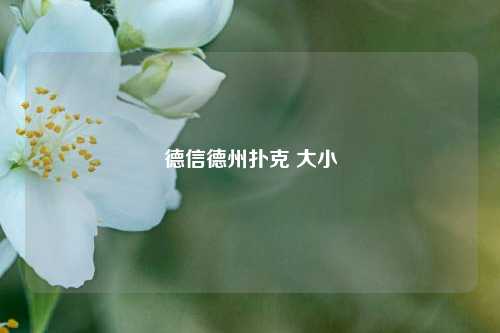 德信德州扑克 大小